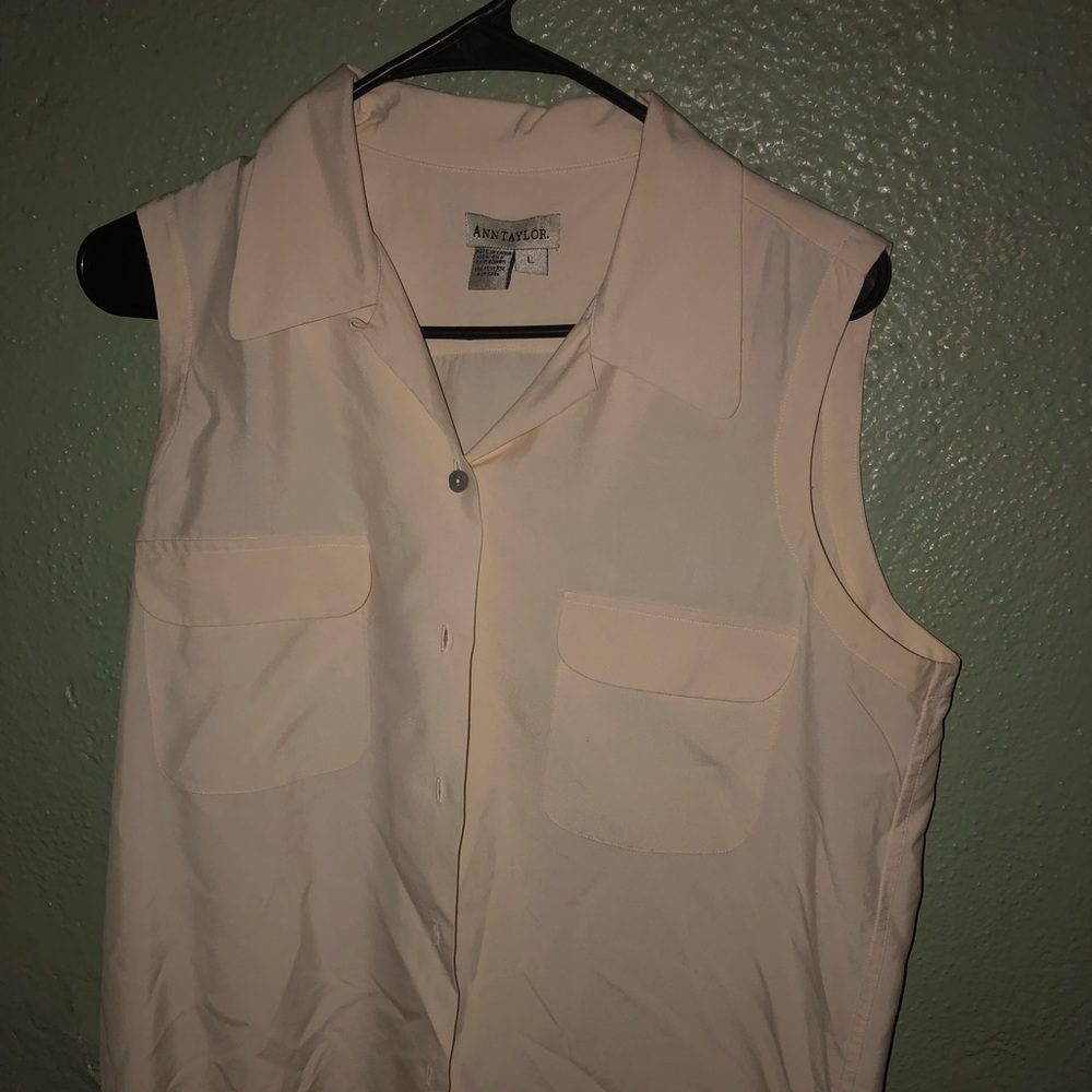 Ann Taylor blouse.